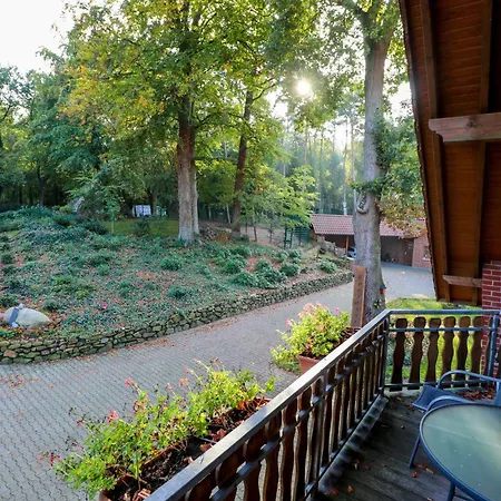 Familienhof Bruening - Sonnenschein