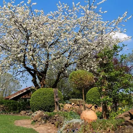 Familienhof Bruening - Sonnenschein