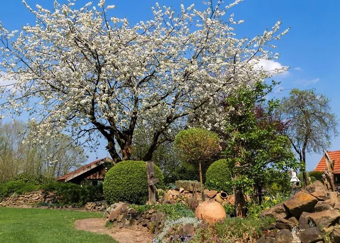 Familienhof Bruening - Sonnenschein